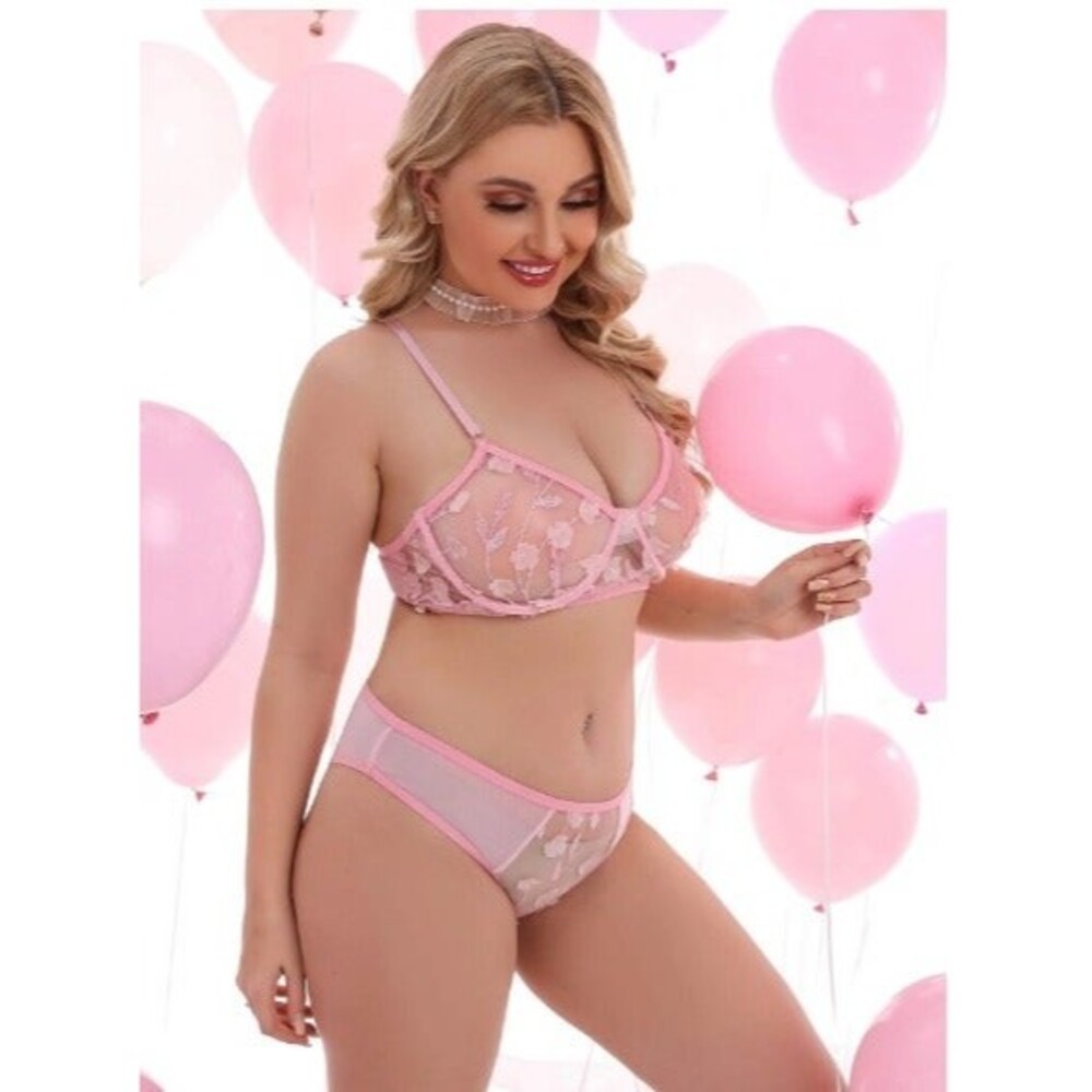 1X Plus Size Pink Sheer Mesh- Cheeky Underwire Stretch Lingerie Set